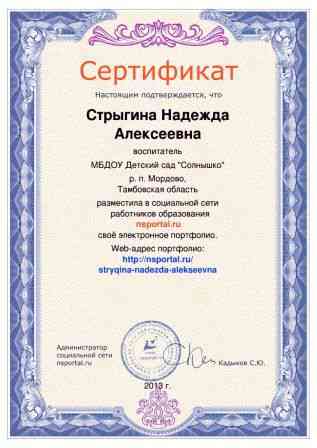 сертификат о размещении электронного портфолио Стрыгина Н. А.