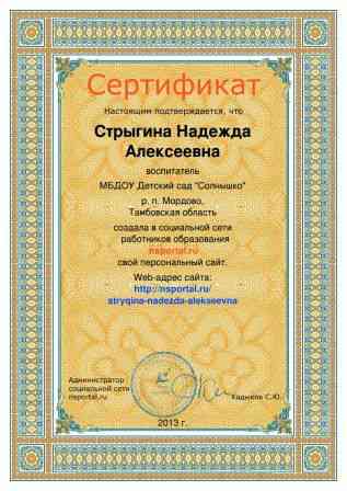 сертификат о саздании персонального сайта Стрыгина Н. А.